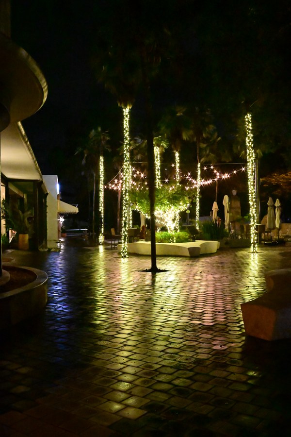 Street lamps reflected along a rain-soaked walkway
